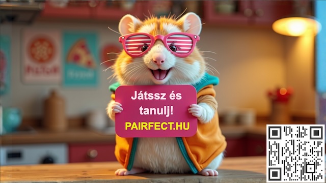 Hörcsög szemüvegben Pairfect.hu felirattal